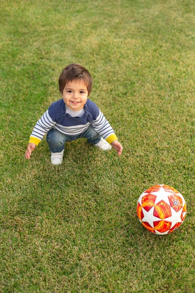 Портрет Улыбающегося Мальчика Мячом Лужайке — стоковое фото