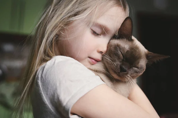 Little Girl Cuddling Her Burma Cat — Stock Photo, Image