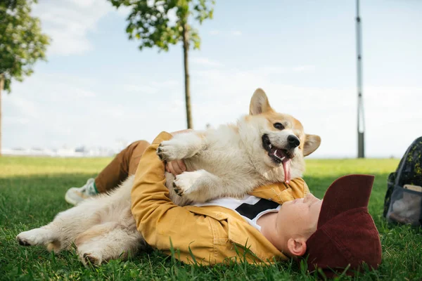 Menino Com Galês Corgi Pembroke Parque — Fotografia de Stock