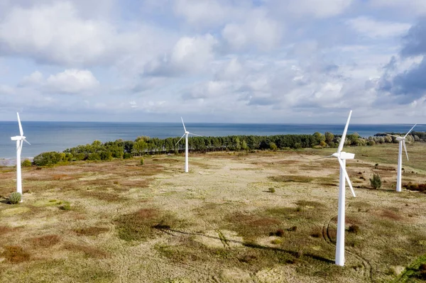 Russia Kaliningrad Oblast Zelenogradsk Wind Farm Coast Baltic Sea — Stock Photo, Image