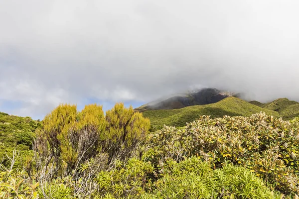 New Zealand Thick Clouds Green Flora Mount Taranaki Volcano — Stock Photo, Image