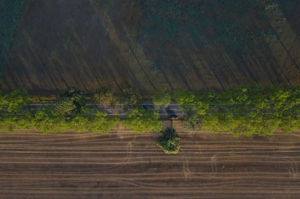 Alemanha Brandemburgo Drone View Treelined Country Road Cutting Agricultural Field — Fotografia de Stock