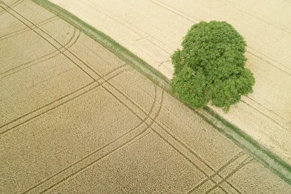 Germania Baden Wurttemberg Drone Vista Vasti Campi Campagna Estate — Foto Stock