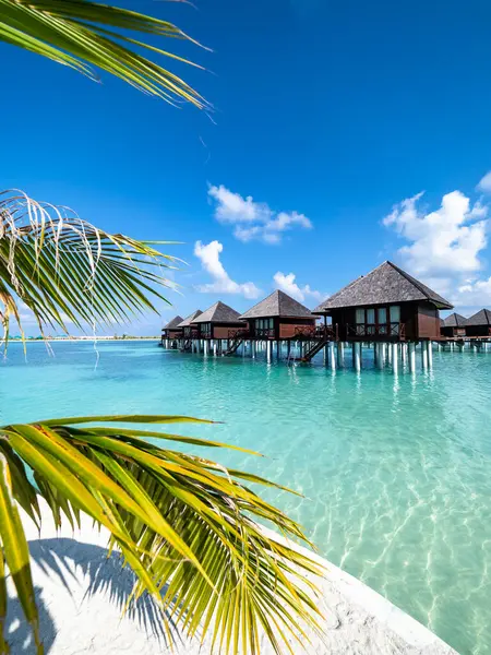 Мальдивы Прибрежные Домики Летом — стоковое фото