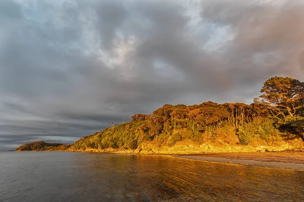 Neuseeland Tasman District Puponga Bewaldete Küste Der Golden Bay Bewölkten — Stockfoto
