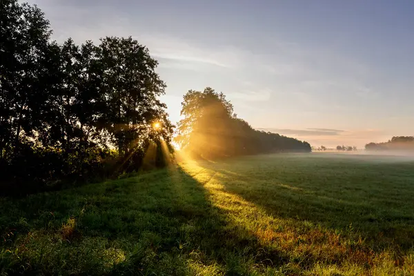 Tyskland Brandenburg Landsbygdsäng Vid Dimmig Soluppgång — Stockfoto