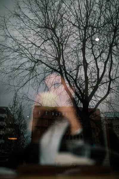 Reflection Buildings Bald Tree Windowpane Coffee Shop Woman Background — Stock Photo, Image