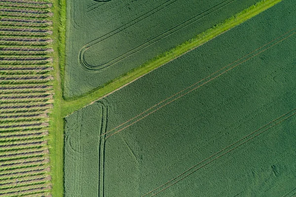 ドイツ バイエルン フランス 緑のフィールドの空中ビュー — ストック写真