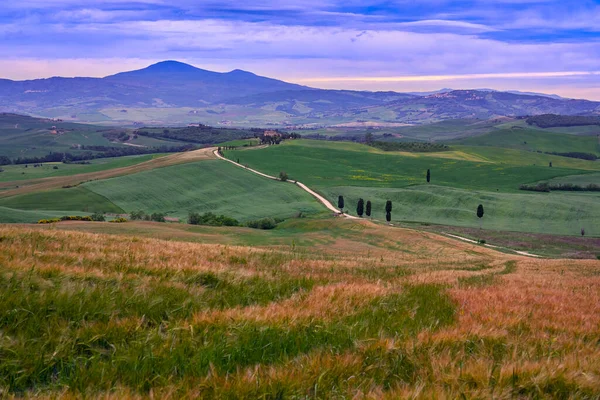 Olaszország Toszkána Orcia Valley Pienza Mezők Dombok Naplementekor — Stock Fotó