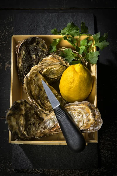 新鮮な牡蠣とレモン — ストック写真