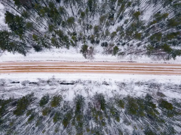 Russland Gebiet Leningrad Luftaufnahme Der Straße Durch Den Wald Winter — Stockfoto
