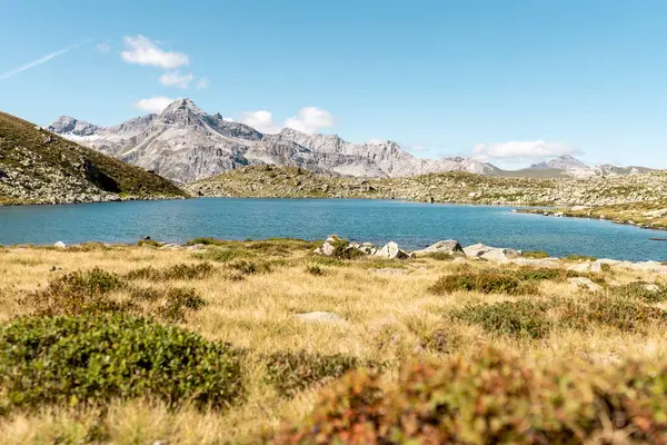 Suretta Lake Alpok Grisons Svájc — Stock Fotó