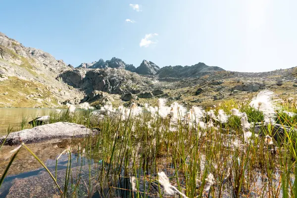 Suretta Lake Alps Grisons Switzerland — Stock Photo, Image