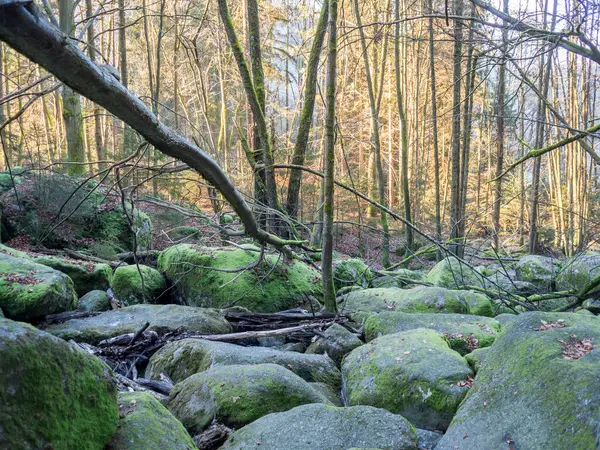 Hermoso Río Montaña Temporada Primavera Naturaleza Viajes —  Fotos de Stock