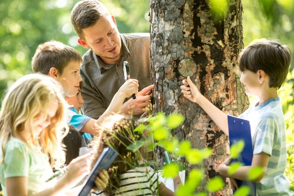 Crianças Idade Escolar Examinando Casca Árvore Floresta Com Seu Professor — Fotografia de Stock