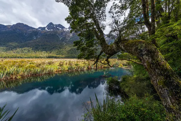 Νέα Ζηλανδία Southland Anau Γραφική Θέα Earl Βουνά Και Την — Φωτογραφία Αρχείου