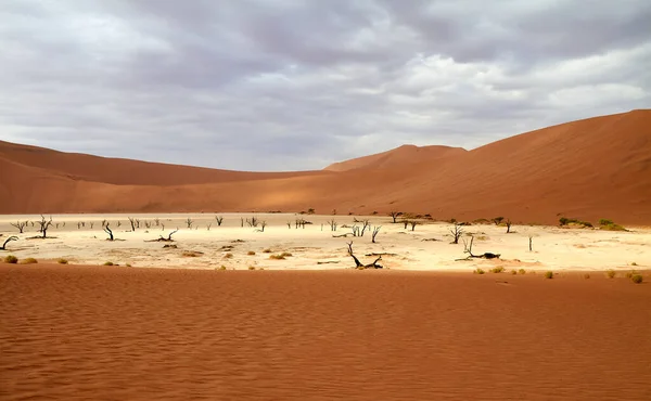 Namíbia Sossusvlei Pan Cercado Por Dunas Deserto — Fotografia de Stock