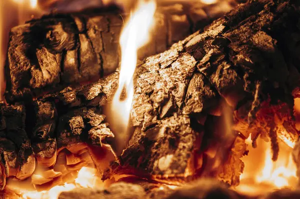 Firewood Burning Pizza Oven — Stock Photo, Image