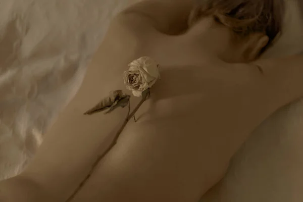 Οπίσθια Όψη Γυμνής Γυναίκας Ξαπλωμένης Στο Κρεβάτι Αποξηραμένο Λουλούδι — Φωτογραφία Αρχείου