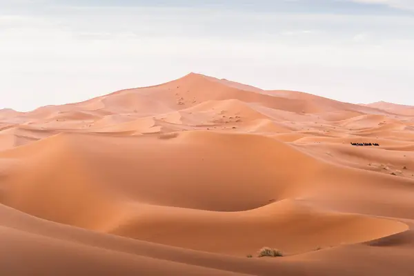 Dunes Merzouga Desert Morocco — Stock Photo, Image