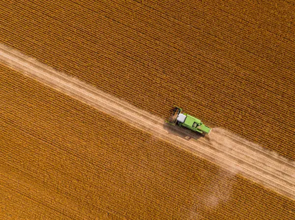 Aerial View Combine Harvester Field Soybean — Stock Photo, Image