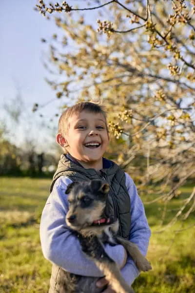 Portrait Laughing Boy Holding Dog Meadow — Stock Photo, Image