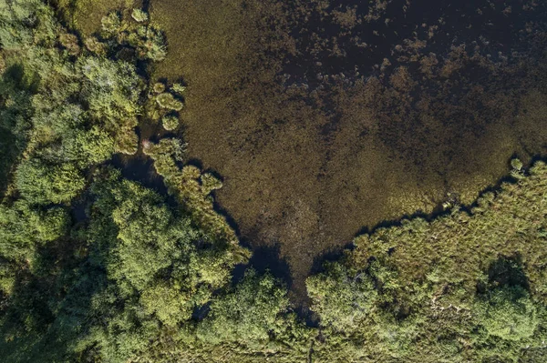 Niemcy Bawaria Drone Widok Zielone Jezioro — Zdjęcie stockowe