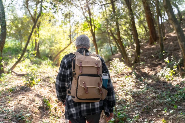 Sırt Çantalı Yaşlı Adamın Ormanda Yürüyüşünün Arka Görüntüsü — Stok fotoğraf