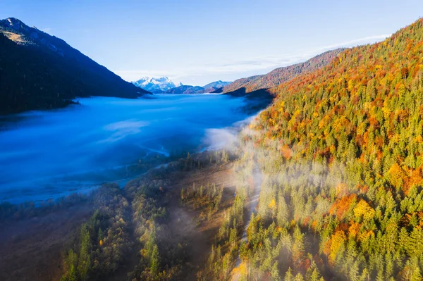 Germany Bavaria Fog Floating Isar River Flowing Forested Valley Wetterstein — Stock Photo, Image