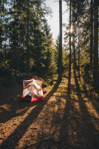 Σκηνή Στο Δάσος Ένα Άτομο Κοιμάται Μέσα Έναν Υπνόσακο — Φωτογραφία Αρχείου