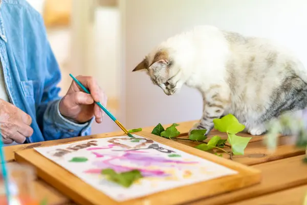 Cat Nézi Idős Férfi Festés Papíron Otthon — Stock Fotó