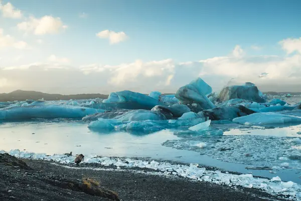 冰岛南部 Jokulsarlon冰川湖 — 图库照片