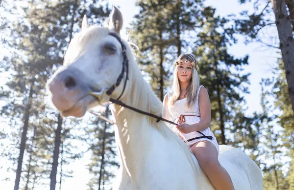 森林里骑白马的年轻女子的低视角 — 图库照片