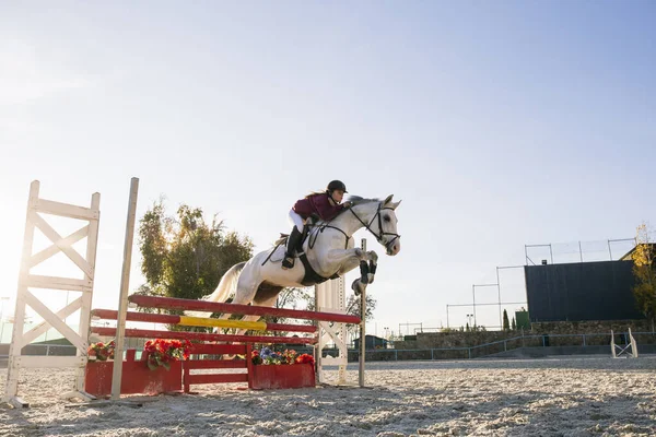 Jockey Ιππασία Λευκό Άλογο Πάνω Εμπόδιο Στο Έδαφος Κατάρτισης Κατά — Φωτογραφία Αρχείου