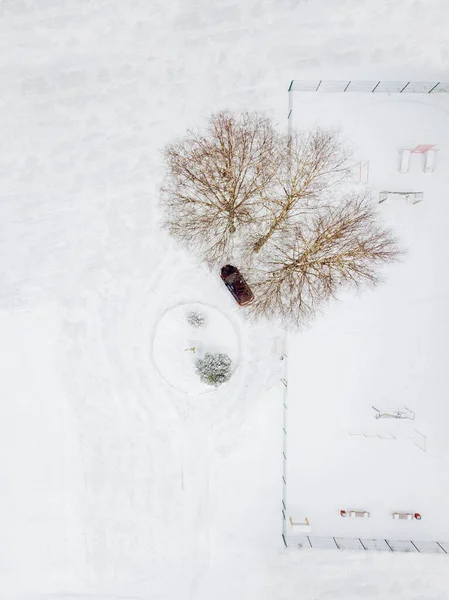 Ryssland Leningrad Oblast Flygfoto Bil Parkerad Kala Träd Vintern — Stockfoto