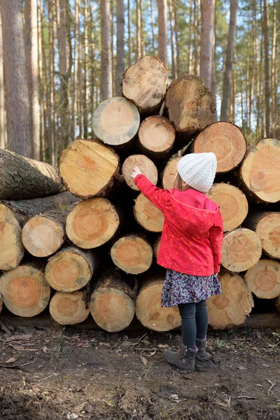 Ormanda Odun Yığınının Önünde Duran Küçük Kızın Arka Manzarası — Stok fotoğraf