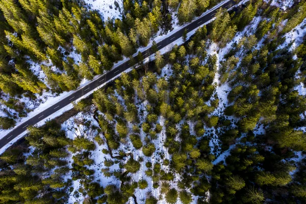 Vista Aérea Del Bosque Invierno —  Fotos de Stock