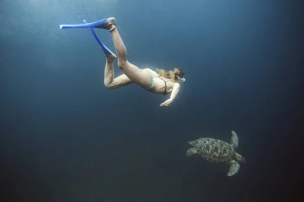 Indonesia Bali Underwater View Female Diver Swimming Alongside Lone Turtle — Stock Photo, Image