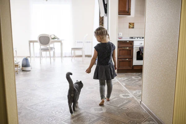 Chica Caminando Con Británico Taquigrafía Gato Casa — Foto de Stock