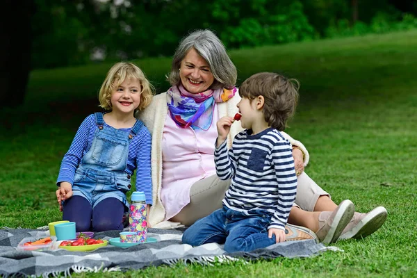 Happy Babcia Korzystających Piknik Wnukami Parku — Zdjęcie stockowe
