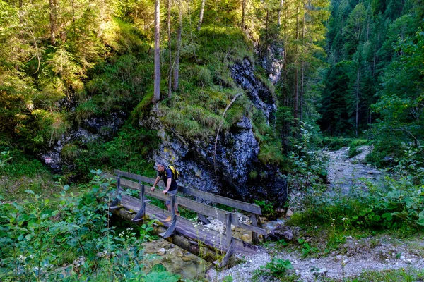 Austria Tirol Steinberg Rofan Mochilero Masculino Admirando Bosque Montañoso Circundante —  Fotos de Stock