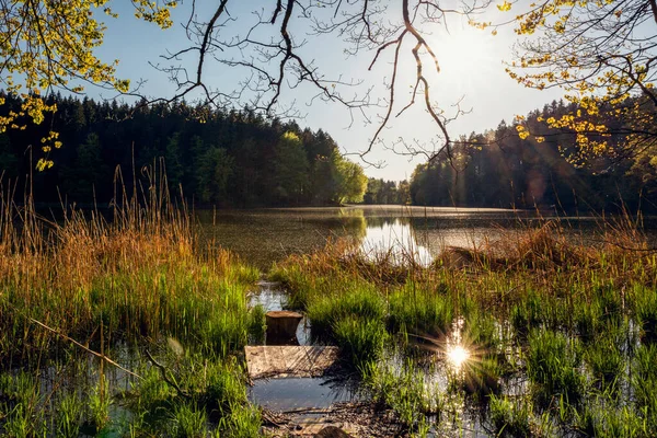 Germany Bavaria Egling Grassy Shore Thanninger Weiher Lake Sunset — 스톡 사진