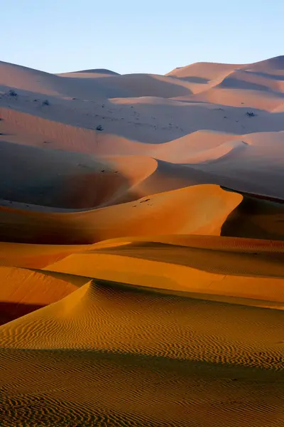 United Arab Emirates Emirate Abu Dhabi Sand Dunes Quarter Desert — Stock Photo, Image