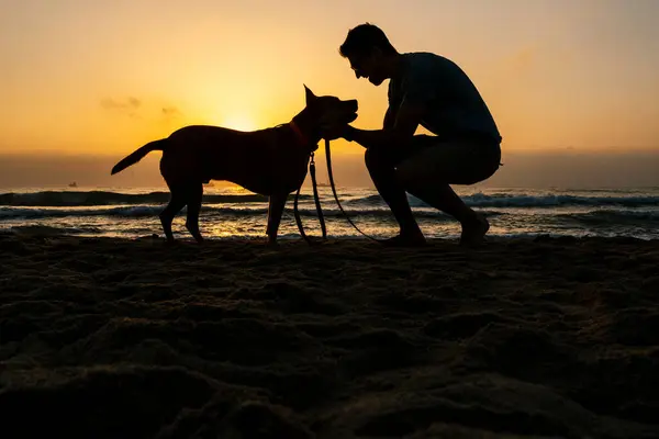 Siluet Adam Şafak Vakti Köpekle Sahilde Vakit Geçiriyor — Stok fotoğraf