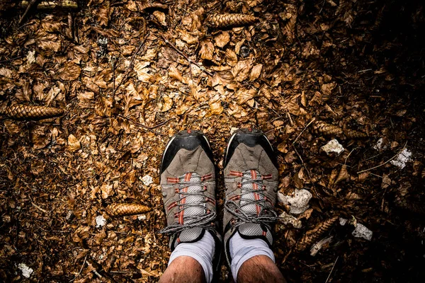 Pies Hombre Con Botas Senderismo Pie Suelo Del Bosque —  Fotos de Stock