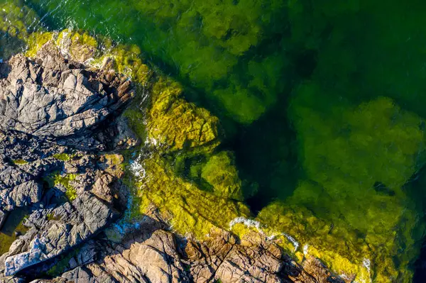 Danimarka Bornholm Gudhjem Belediyesi Gotterheim Rocky Sahili — Stok fotoğraf