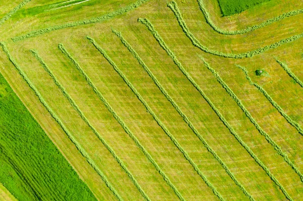 春季绿色割草地的无人机视图 — 图库照片