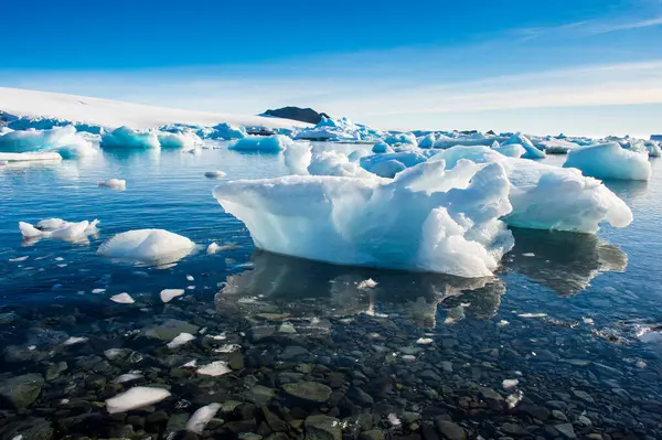 Ice Floating Shore Hope Bay — Stock Photo, Image