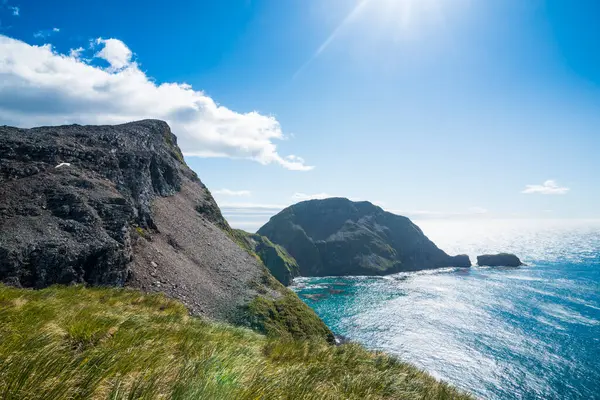 South Georgia South Sandwich Islands Kustlijn Van Godthul Bay — Stockfoto