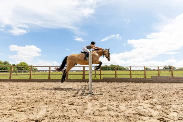 Mujer Joven Montando Caballo Saltando Sobre Obstáculo —  Fotos de Stock